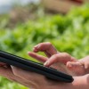 Soluciones LoRa para agricultura inteligente