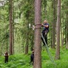 Ecosensors: avaluació del risc dincendis forestals