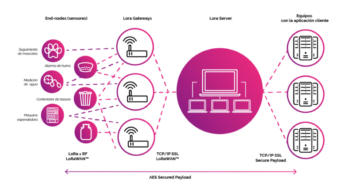 Esquema básico de una Red LoRaWAN Catsensors